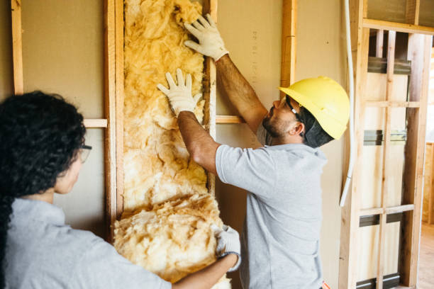 Best Insulation for Metal Buildings  in Lockland, OH